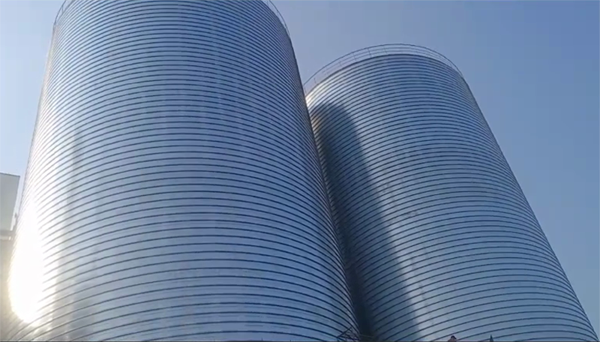 伊犁2座混凝土高架卷板仓